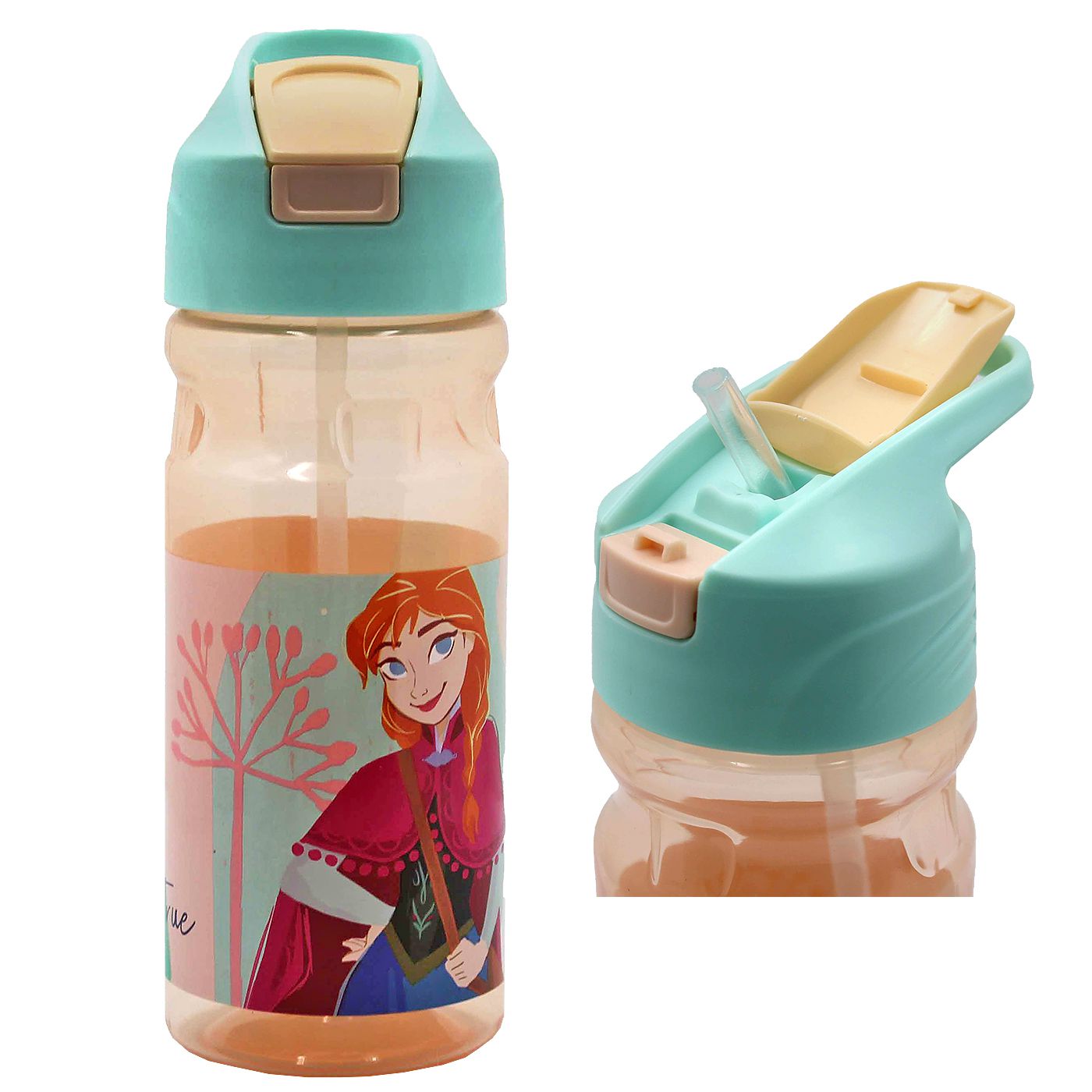 Παγούρι Πλαστικό ps 550ml Frozen 21χ7cm 550ml